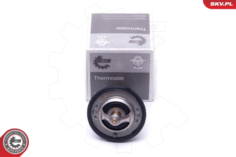 Thermostat, coolant